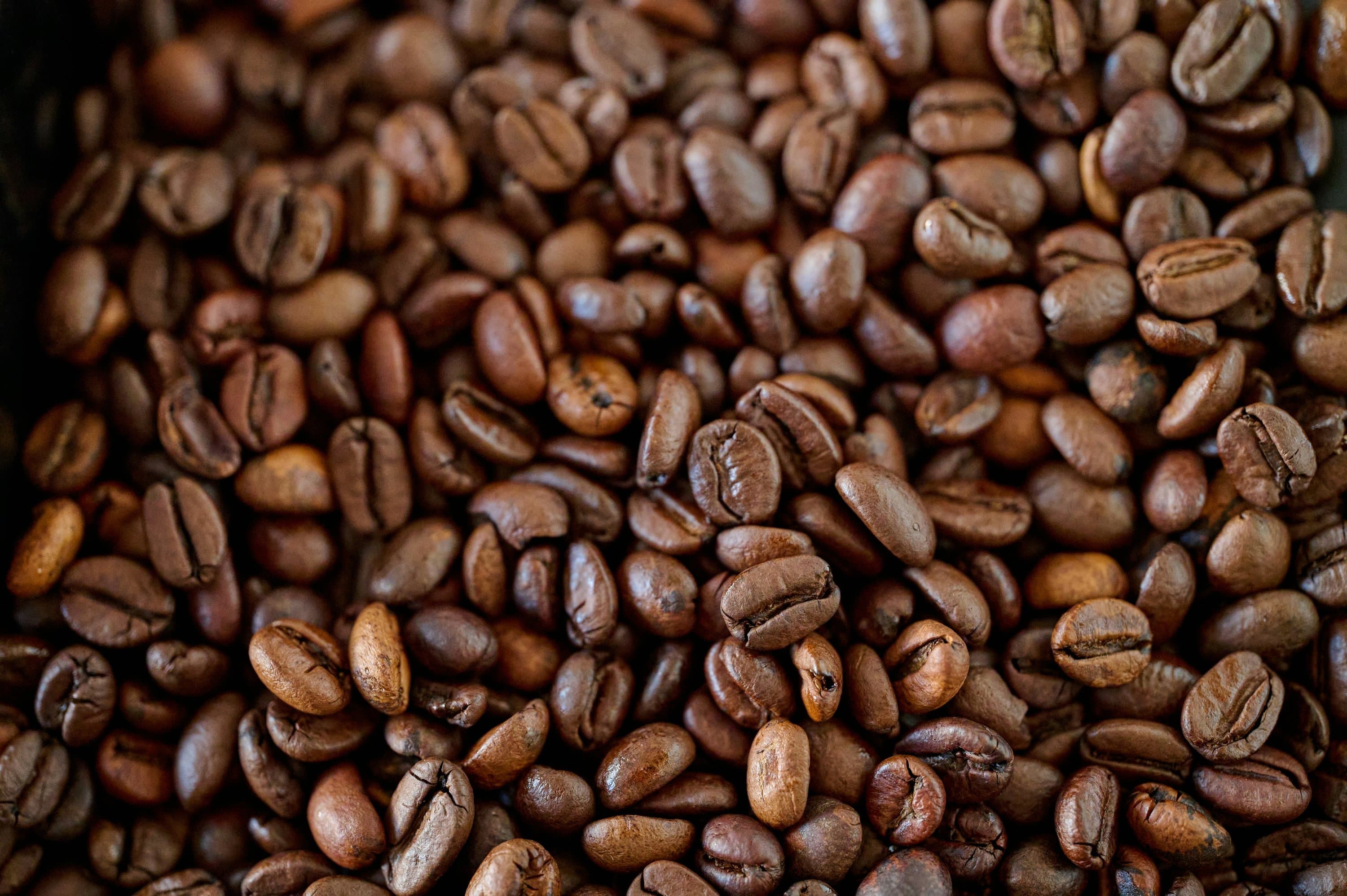 Rich, dark roasted coffee beans in warm golden light